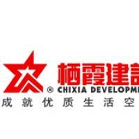 栖霞建设董事会决议公告 选举江劲松为董事长、总裁及投资兴办实业